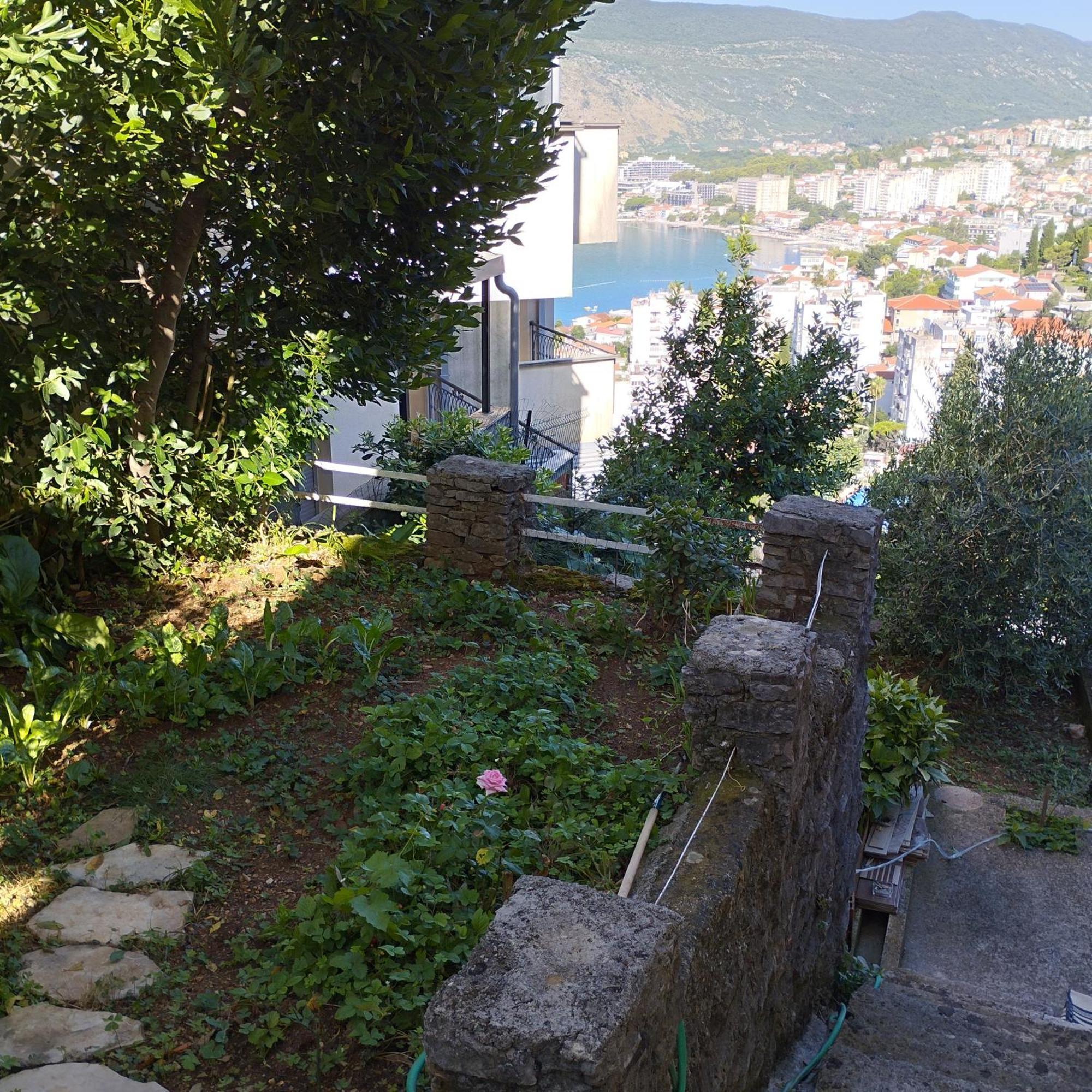 Apartmani Lovor Herceg Novi Værelse billede